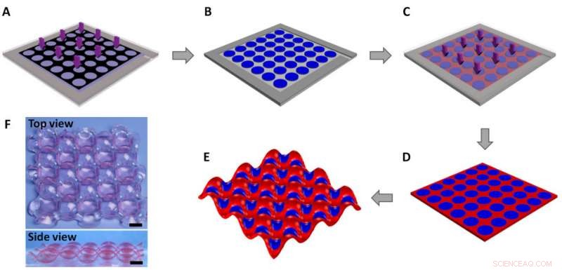 Cooperative Deformation in Periodically Patterned Hydrogels: A Predictive Model