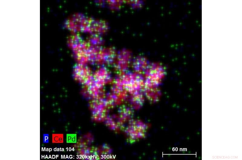 Unlocking Biomass Potential: Breakthroughs in Lignin Conversion