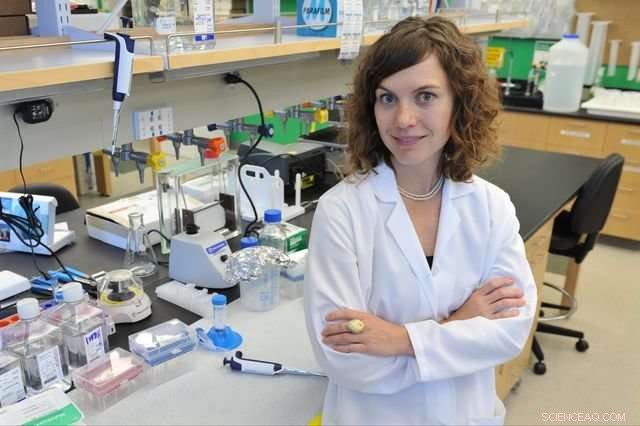 Innovative Cell Stiffness Measurement Technique Promises Enhanced Cancer Treatment Outcomes