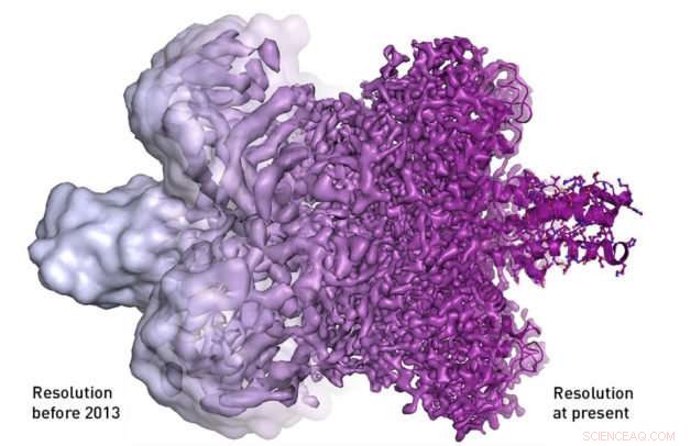 Berkeley Lab’s Technology Advances Nobel-Winning Cryo-EM, Enhancing Molecular Imaging