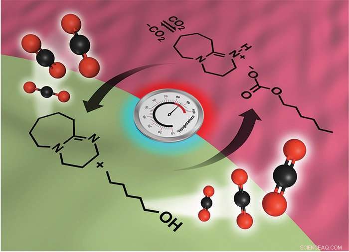 Scientists Identify Distinct Regions in Leading Carbon Capture Solvent
