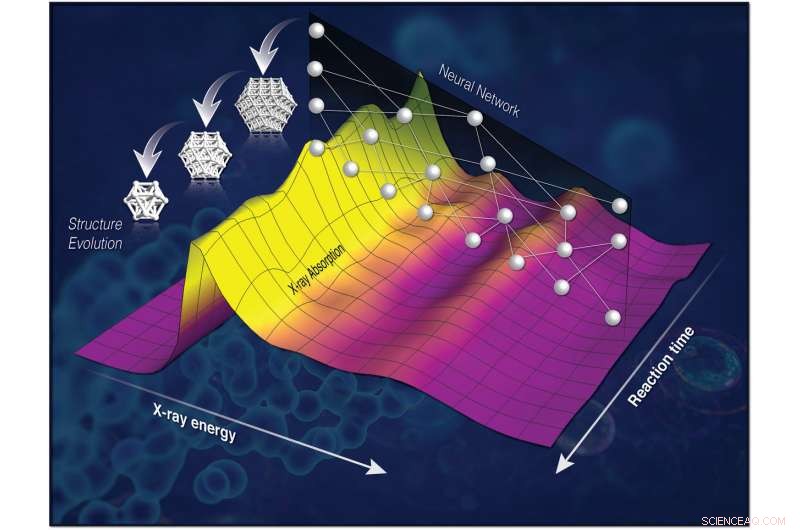 Real‑Time Catalyst Analysis: Accelerate Performance with Rapid 3D Structural Insights