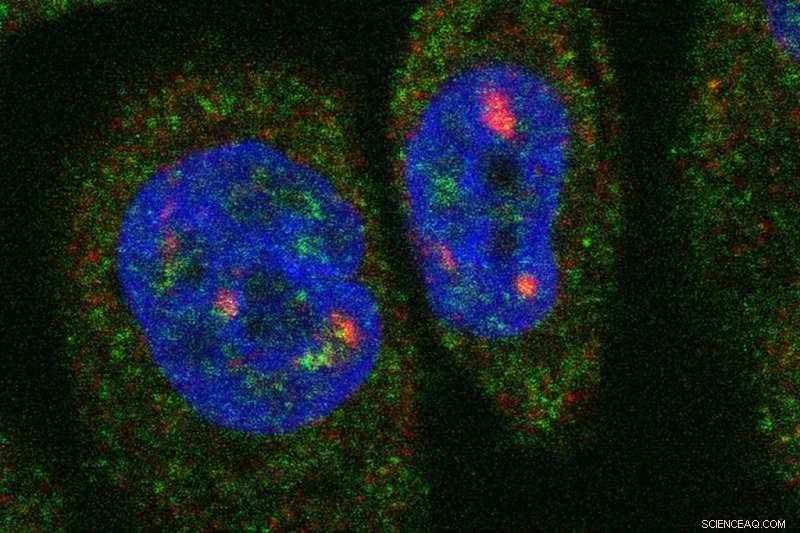 Revolutionizing Drug Design: Targeting the Body’s Genetic Code