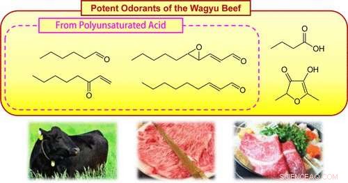 The Aroma Profile Behind the Allure of the World’s Most Expensive Beef