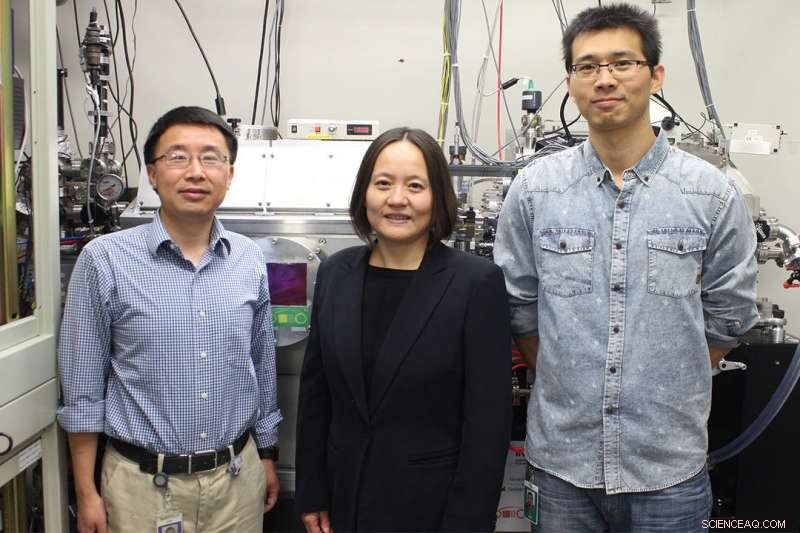 Scientists Seek Innovative Solutions to Eliminate Antibiotics Contaminating Freshwater Ecosystems