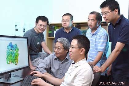 New 3‑D Atomic Model Reveals TRPML1 Ion Channel Structure