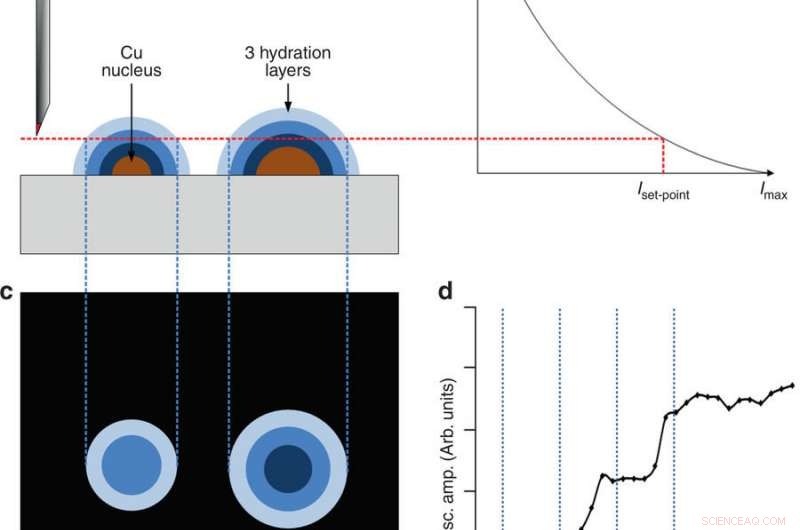 Electroplating Revealed: Capturing the First Nucleus in Real Time