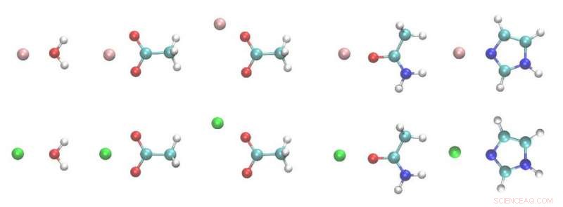 Force Field Analysis Illuminates Protein‑Ion Interaction Mechanisms