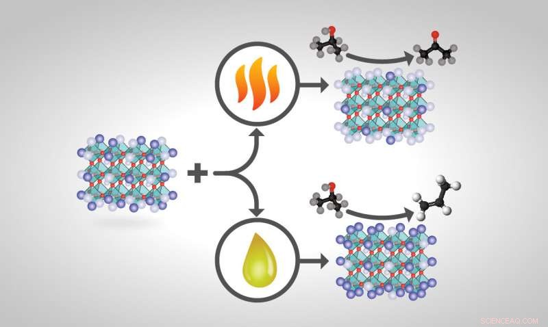 Engineered Perovskite Catalysts Boost Yields and Lower Separation Costs