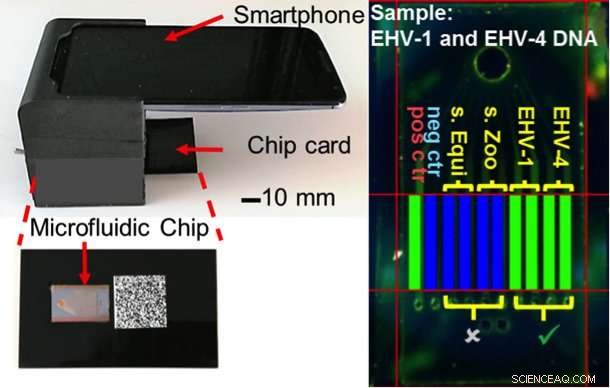 Integrated Lab‑on‑a‑Chip Leverages Smartphone for Rapid Multi‑Pathogen Detection