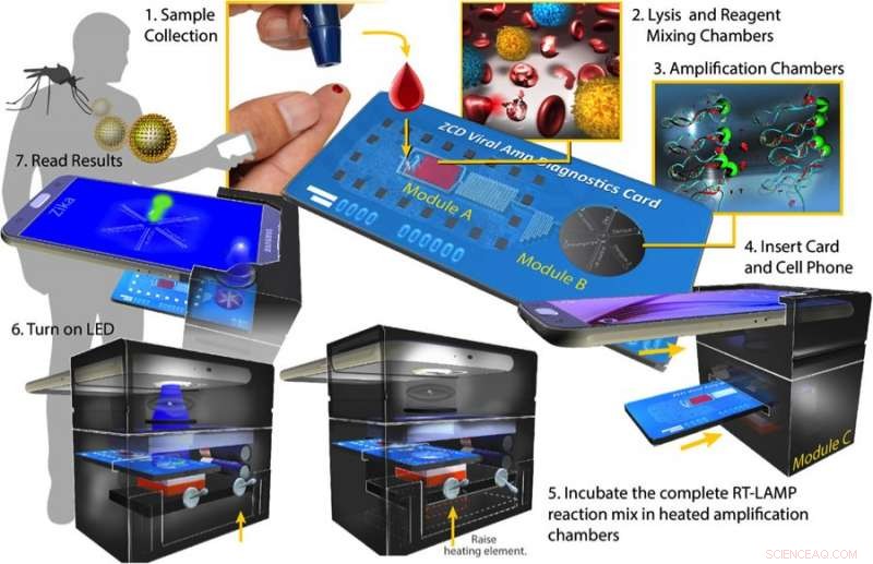 Integrated Lab‑on‑a‑Chip Leverages Smartphone for Rapid Multi‑Pathogen Detection