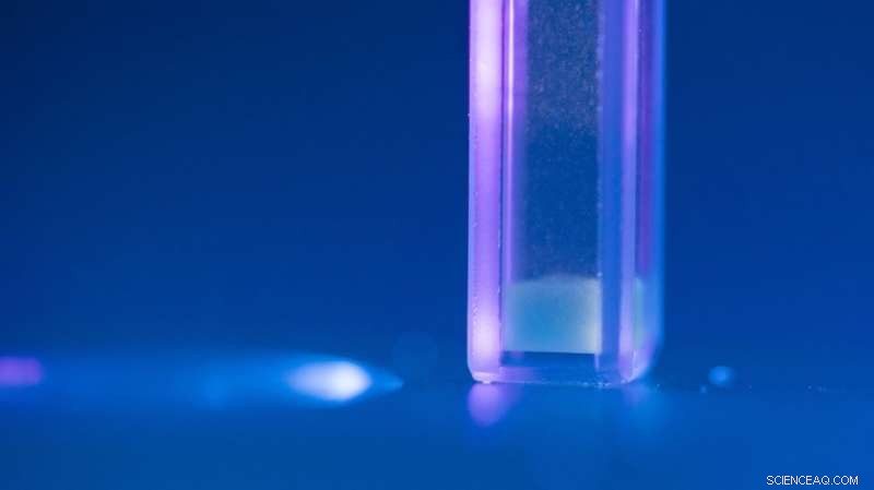 New Rhenium-Based Compound Illuminates Path to Alzheimer s Therapy