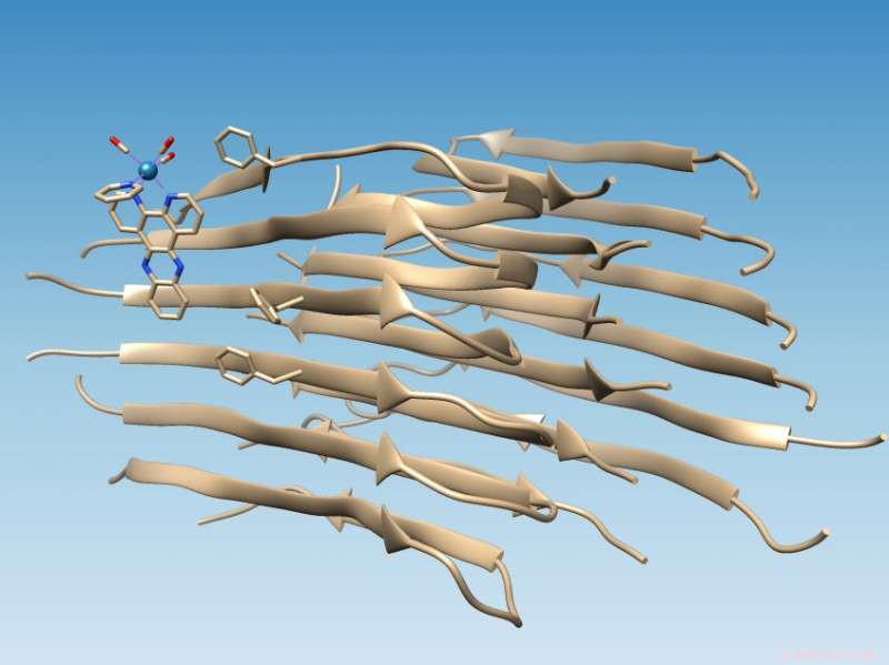 New Rhenium-Based Compound Illuminates Path to Alzheimer s Therapy