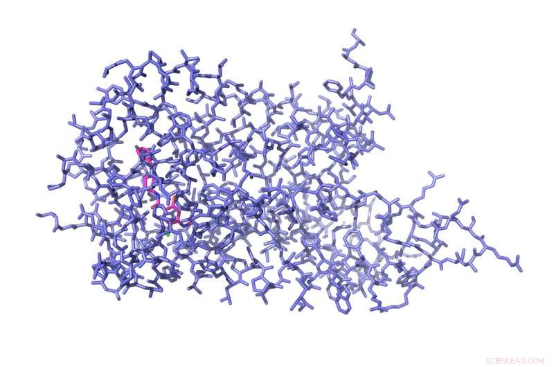 Scientists Resolve First High-Resolution Structure of Dopamine Receptor