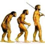 Groundbreaking Theory of Molecular Evolution Revealed by Leading Scientists