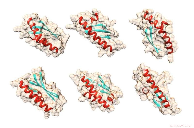 Engineered Yeast Protein Illuminates the Power of Computational Design
