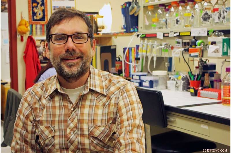 Engineered Yeast Protein Illuminates the Power of Computational Design