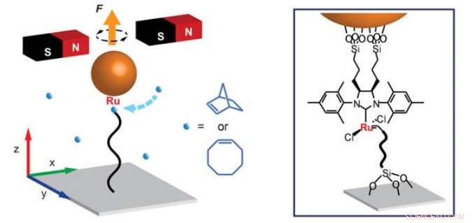 Detailed Visualization of Polymer Chain Growth Reveals Discrete Jump Steps