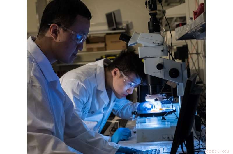 Microfluidic Analysis Reveals How Dispersants Modify Asphaltene to Maintain Pipeline Integrity