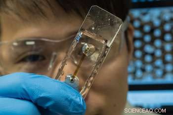 Microfluidic Analysis Reveals How Dispersants Modify Asphaltene to Maintain Pipeline Integrity