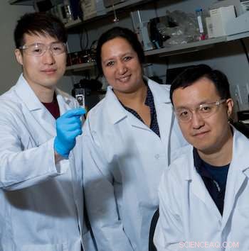 Microfluidic Analysis Reveals How Dispersants Modify Asphaltene to Maintain Pipeline Integrity