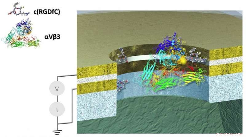 Protein Engineered to Conduct Electricity Like Metal: A Breakthrough in Bioelectronics