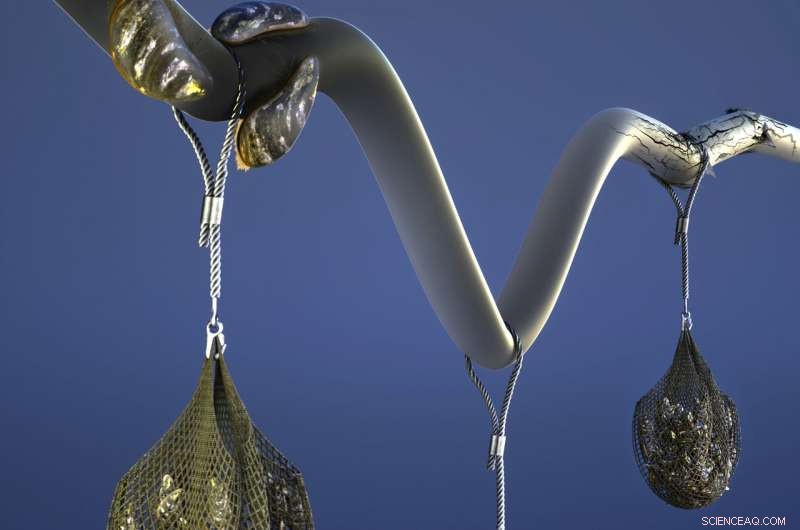 How Mussels Inspire Stronger Polymers: Biomimicry in Material Science