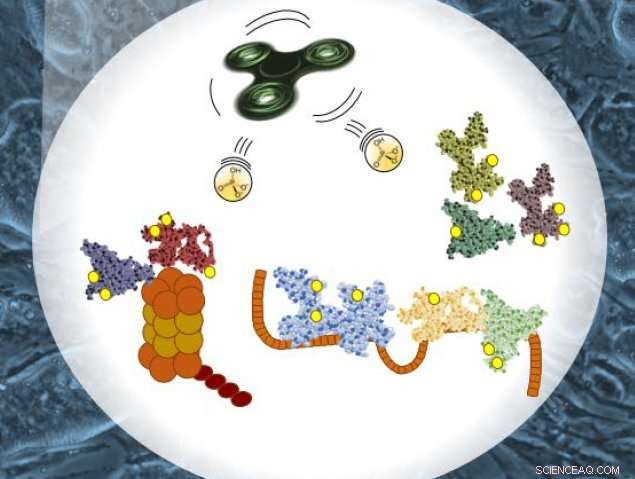 From Bipolar Disorder Meds to Leukemia Insights: A Surprising Scientific Discovery