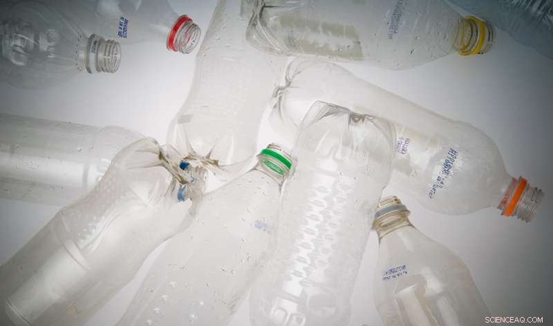 Michigan State Scientists Develop Sunlight-Powered Biodegradable Plastic