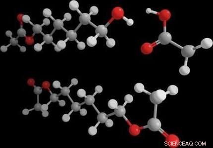 Engineered E. coli Converts Petroleum into Plastic Building Blocks