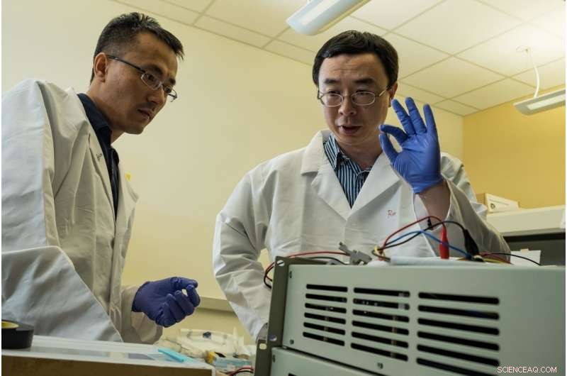 New Study Reveals Hidden Insights into Lithium‑Ion Battery Cathode Materials