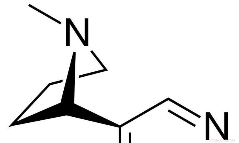 How Gut Health and Gender Influence Nicotine Addiction