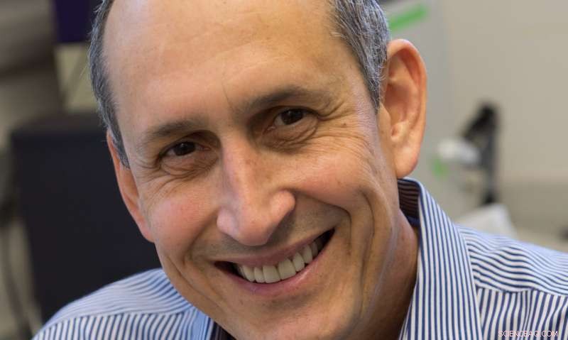 Microbe s Key Gene Enhances Dioxane Degradation, Offering Promising Groundwater Remediation