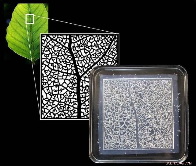 Harnessing Biomimicry: Crafting Adaptive Materials Inspired by Nature