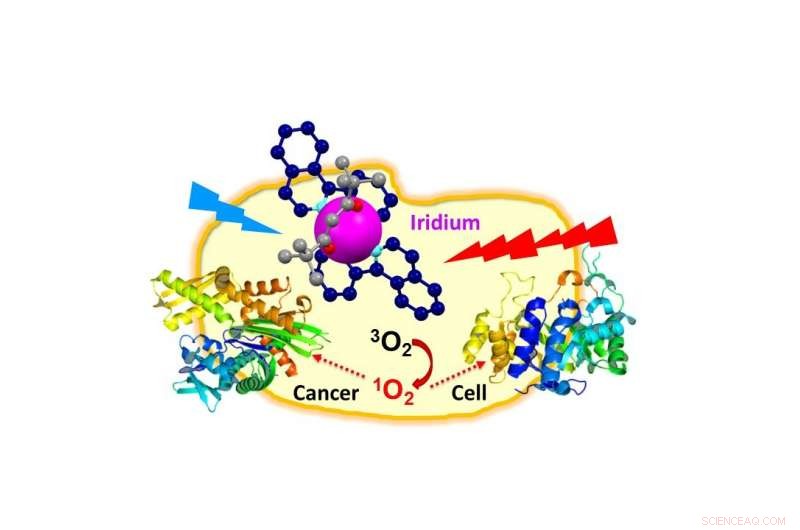 Asteroid Metal Targets Cancer Cells: New Breakthrough