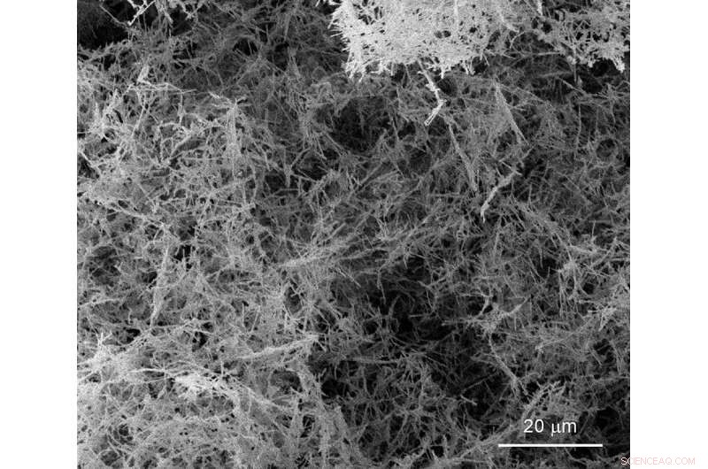 Simplified Method Enables Production of Lightweight Palladium Nanofoam for Energy Storage