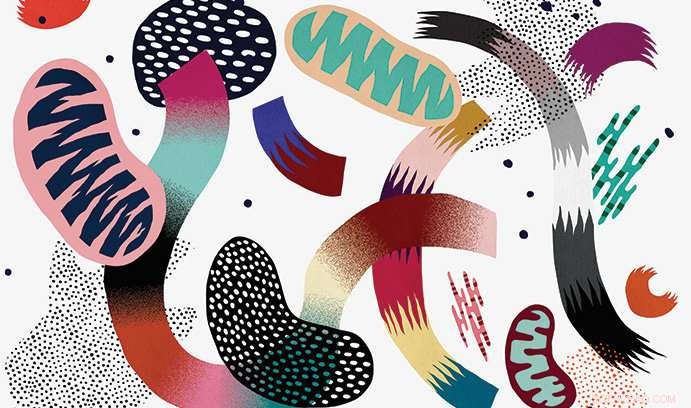 Exploring Bacterial Cell Wall Mechanisms to Fight Antibiotic Resistance