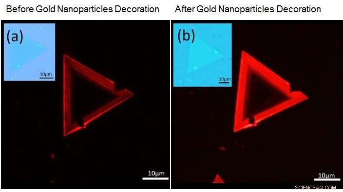 Gold Nanoparticles Boost Luminescence of Tungsten Disulfide