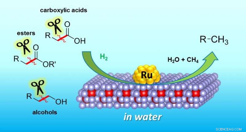 Revolutionizing Green Chemistry: Osaka University Develops Eco-Friendly Catalyst