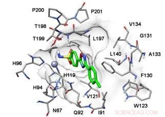 New Glaucoma Drugs Developed by Chemists: Promising Treatment Breakthrough