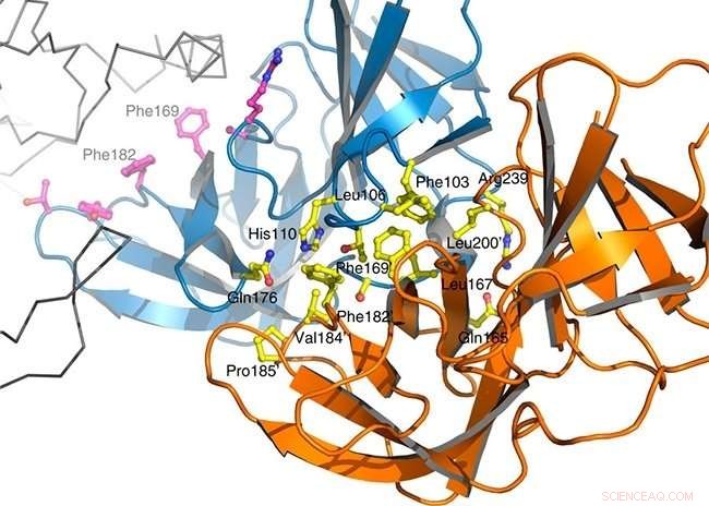 Breakthrough Target Paves Way for Innovative Antibiotics