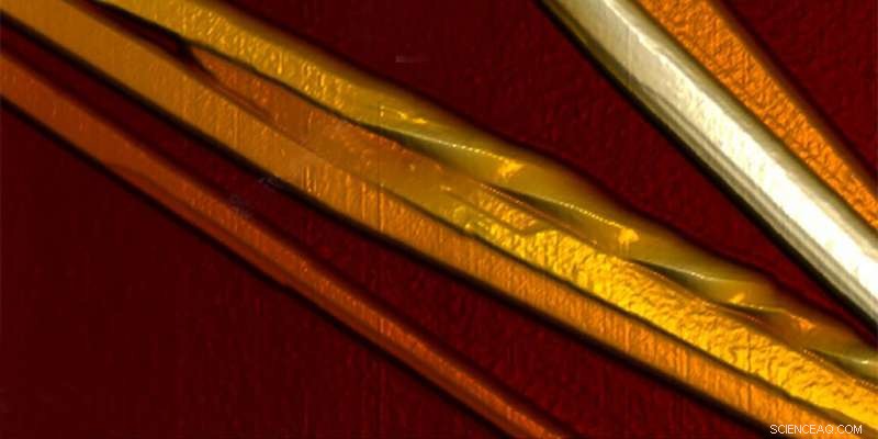 From Fibrils to Crystals: Unveiling a New Protein Transition