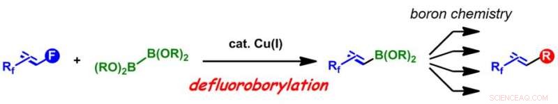 Chemists Unveil New Potentials for Fluoroalkenes