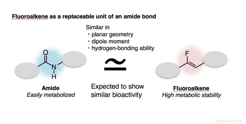 Chemists Unveil New Potentials for Fluoroalkenes