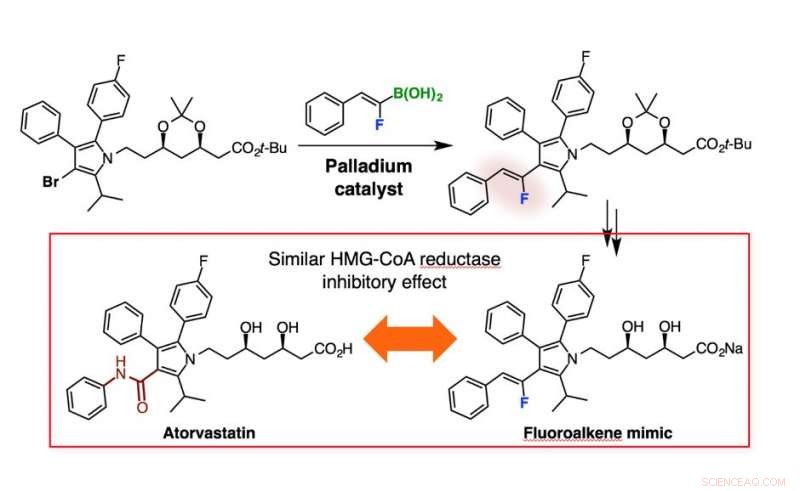 Chemists Unveil New Potentials for Fluoroalkenes