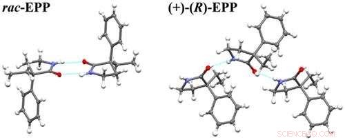 New Drug Candidate from RUDN University Promises to Halt Epileptic Convulsions