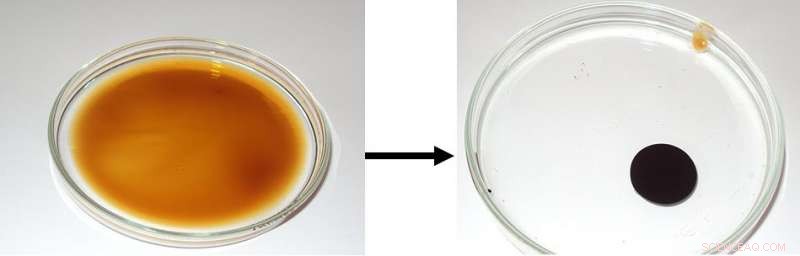 RUDN University Scientists Develop Surfactants That Efficiently Collect Spilled Petroleum