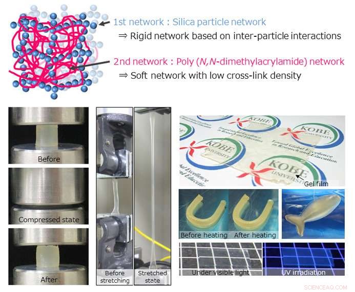 Scientists Unveil Break‑Proof, Never‑Drying Gel with Inorganic/Organic Double Network