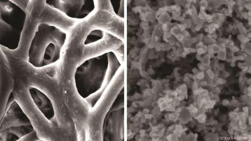 Innovative Microscopic Membrane Shows Promise in Combating Gum Disease