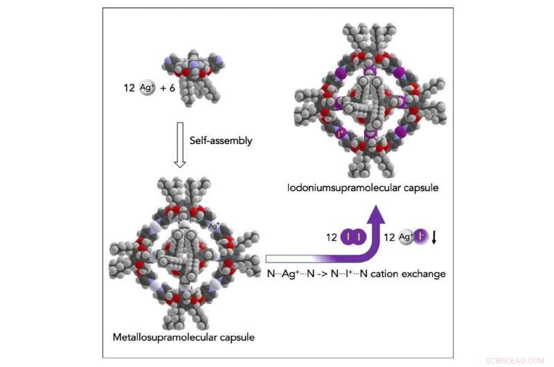 4‑nm Octahedral Nano Capsule: Ethylene‑Bridged Hexameric Assembly via Silver Tosylate
